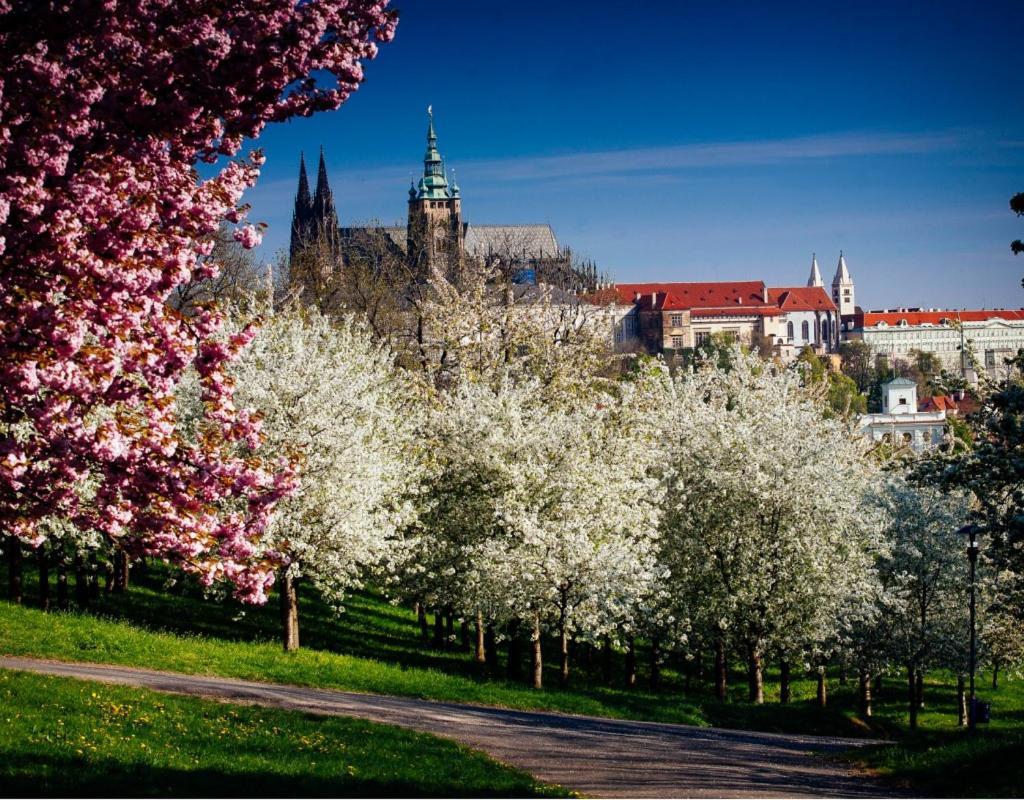 Vintage Apts In Heart Of Prague By Michal&Friends Apartamento Exterior foto